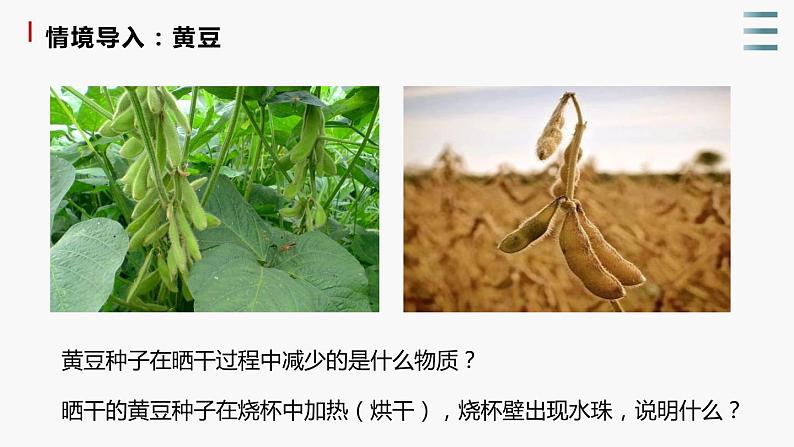 1.1《水和无机盐是构成细胞的重要无机物》课件+教案02