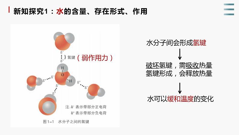 1.1《水和无机盐是构成细胞的重要无机物》课件+教案06