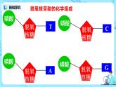 3.1《DNA是主要的遗传物质》课件PPT+教案