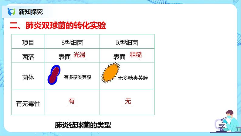 3.1《DNA是主要的遗传物质》课件PPT第5页