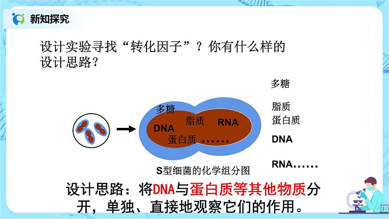 3.1《DNA是主要的遗传物质》课件PPT第8页