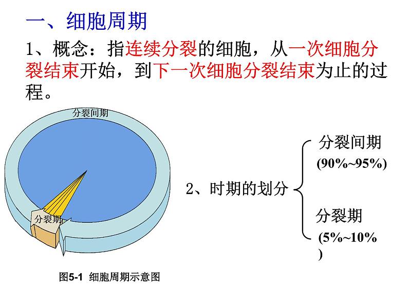 《第1节 细胞的增殖》课件2第5页