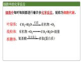 《一 酶的作用和本质》课件3