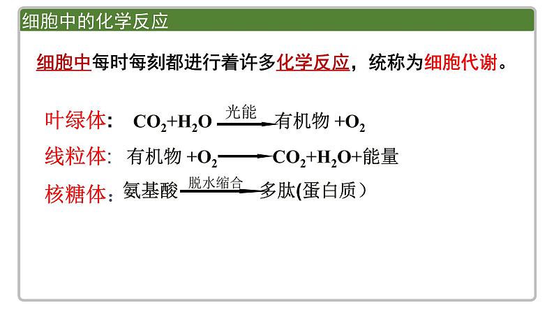 《一 酶的作用和本质》课件303