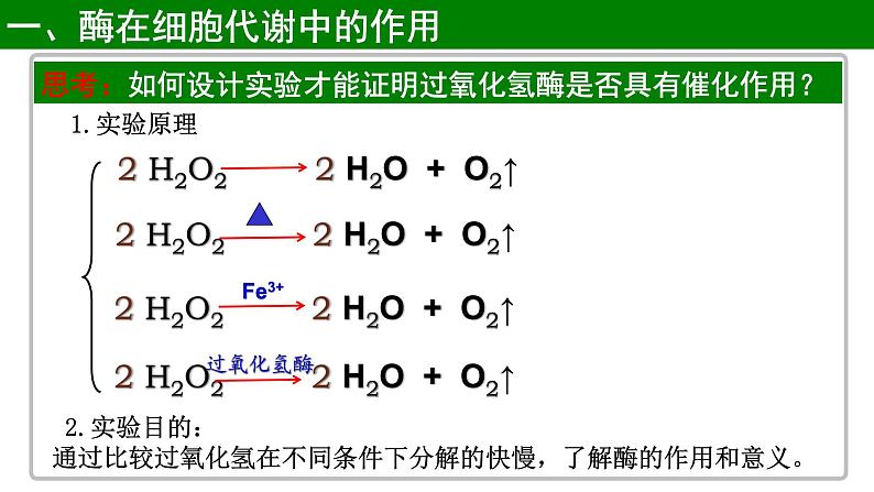 《一 酶的作用和本质》课件306