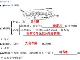 《二 光合作用的原理和应用》课件2