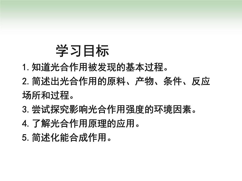 《二 光合作用的原理和应用》课件3第2页