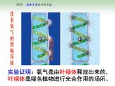 《二 光合作用的原理和应用》课件3