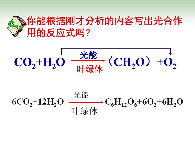 《二 光合作用的原理和应用》课件3第8页