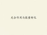 《第4节 光合作用的原理和应用》课件1