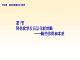 《一 酶的作用和本质》课件1
