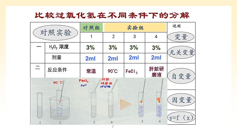 《一 酶的作用和本质》课件107