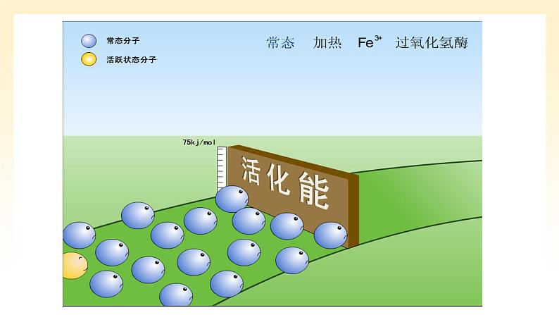 《一 酶的作用和本质》课件108