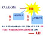 《第2节 细胞的能量“货币”ATP》课件2