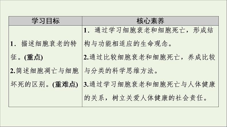 《第3节 细胞的衰老和死亡》课件第2页