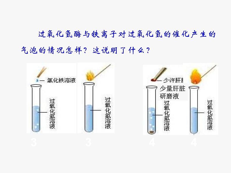 《二 酶的特性》课件2第3页