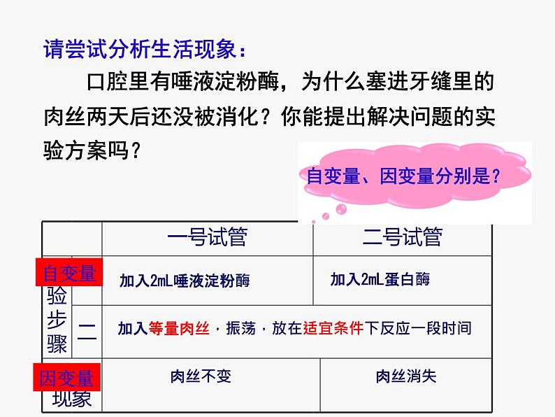 《二 酶的特性》课件2第5页