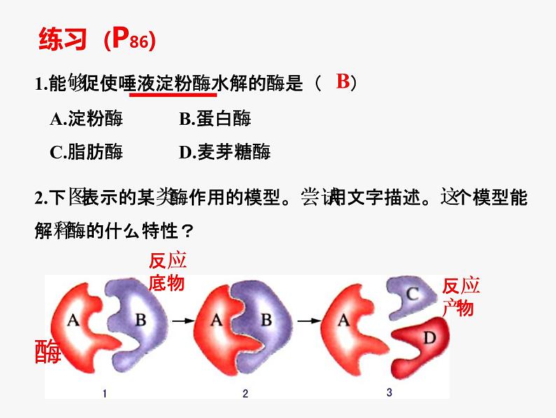 《二 酶的特性》课件2第7页