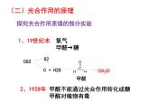 《二 光合作用的原理和应用》课件1