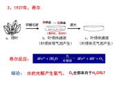 《二 光合作用的原理和应用》课件1