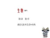 《一 捕获光能的色素和结构》课件1