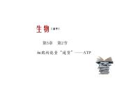 《第2节 细胞的能量“货币”ATP》课件1