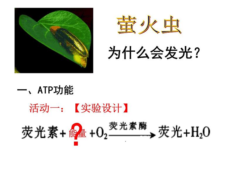 《第2节 细胞的能量“货币”ATP》课件1第3页