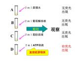 《第2节 细胞的能量“货币”ATP》课件1