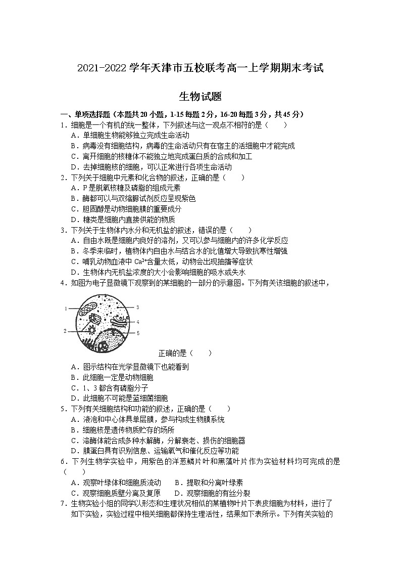 2021-2022学年天津市五校联考高一上学期期末考试生物试题含答案第1页
