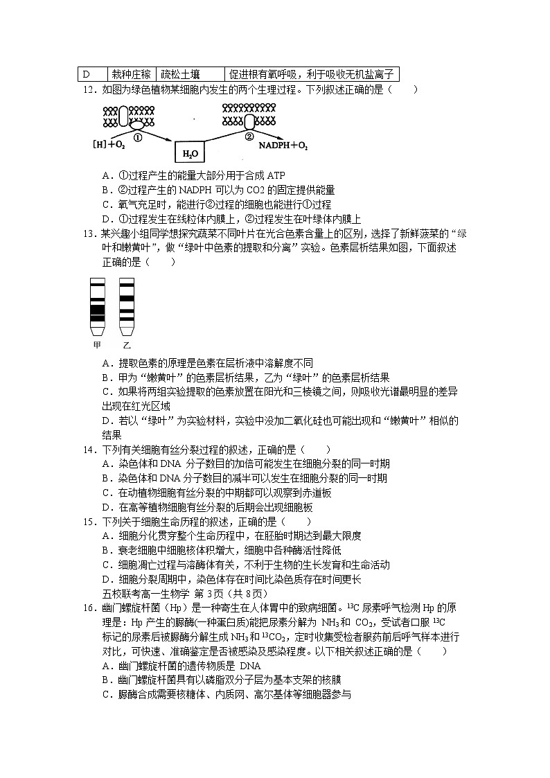 2021-2022学年天津市五校联考高一上学期期末考试生物试题含答案第3页