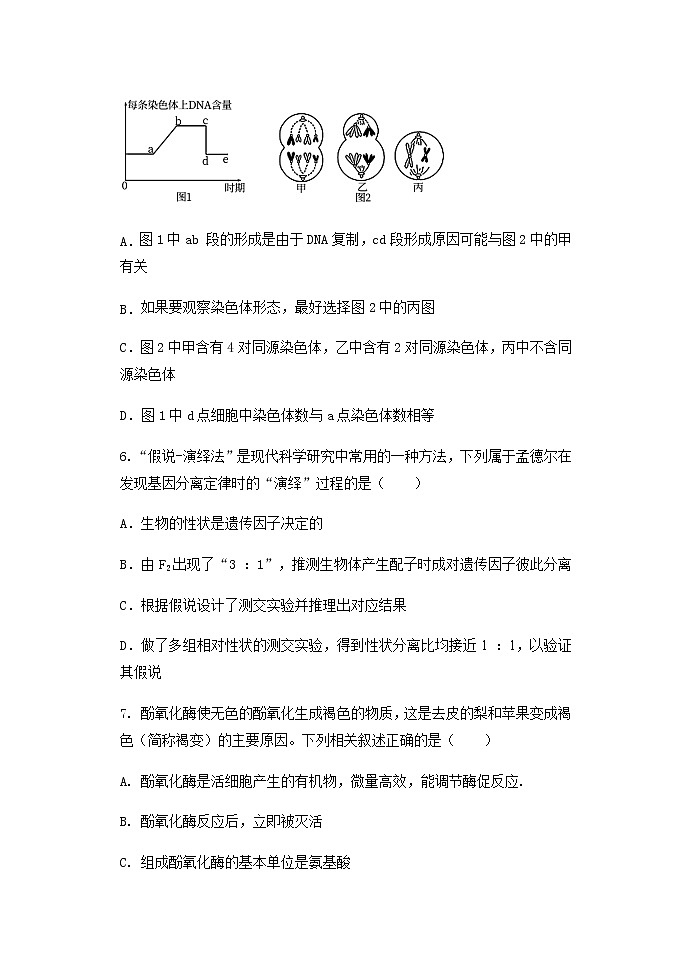 2020-2021学年重庆市主城区六校高一下学期期末联考生物试题含答案第3页