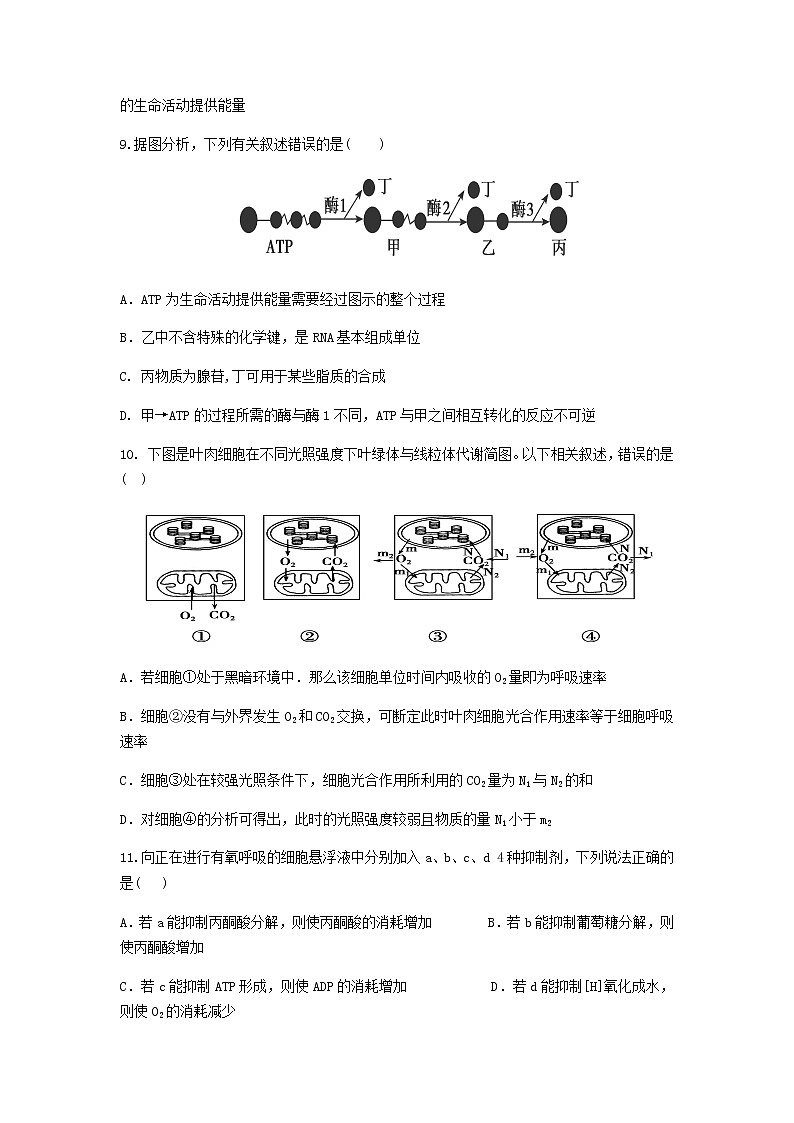 2021-2022学年黑龙江省齐齐哈尔市第八中学高一下学期开学考试生物试题含答案第3页
