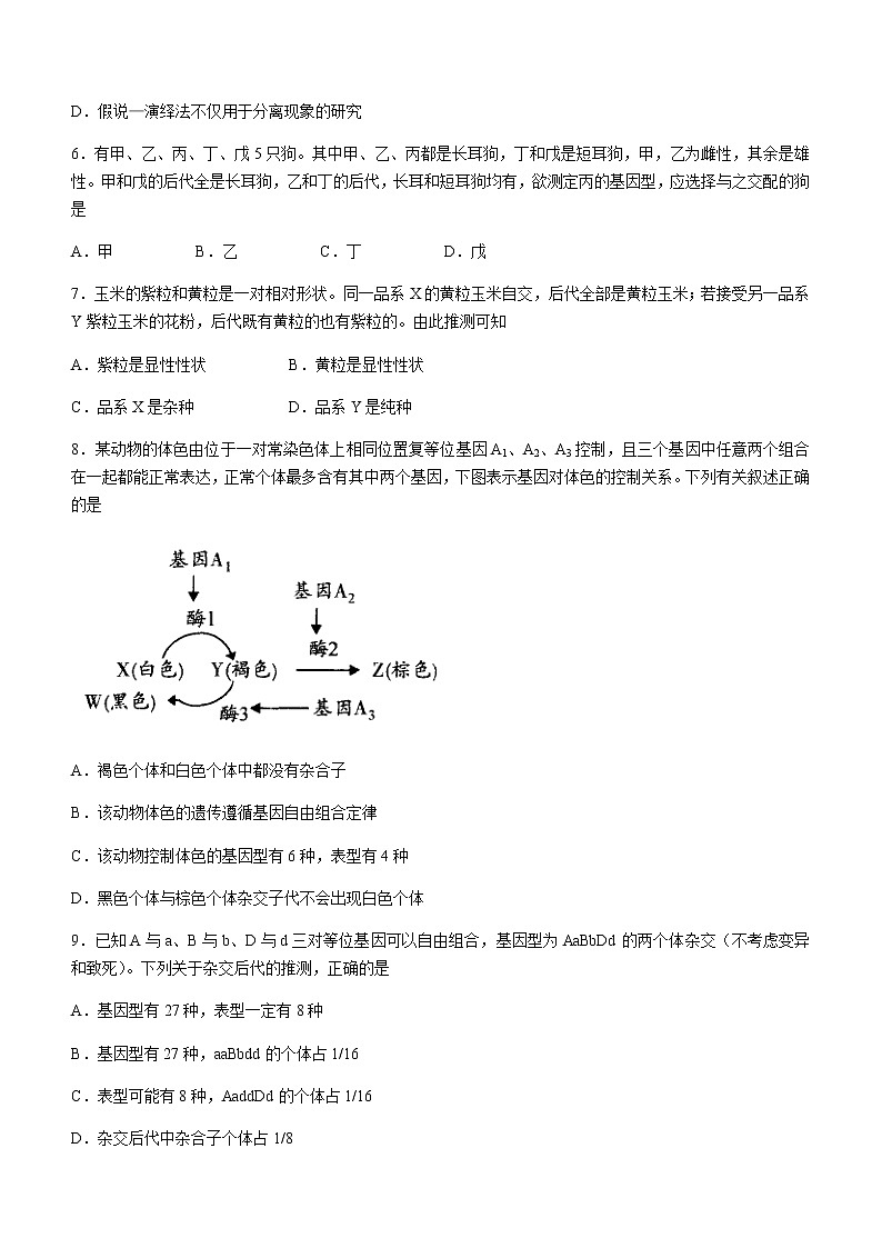 2021-2022学年河南省豫北名校高一下学期第一次月考生物联考试题含答案02