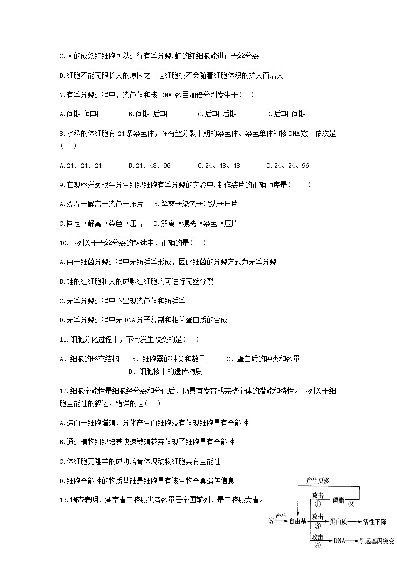2021-2022学年湖南省邵阳邵东市第一中学高一下学期第一次月考生物试题（学考班）02