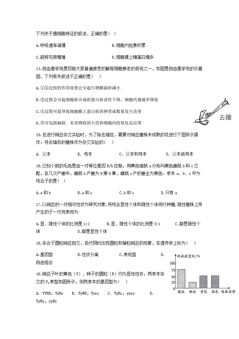 2021-2022学年湖南省邵阳邵东市第一中学高一下学期第一次月考生物试题（学考班）03