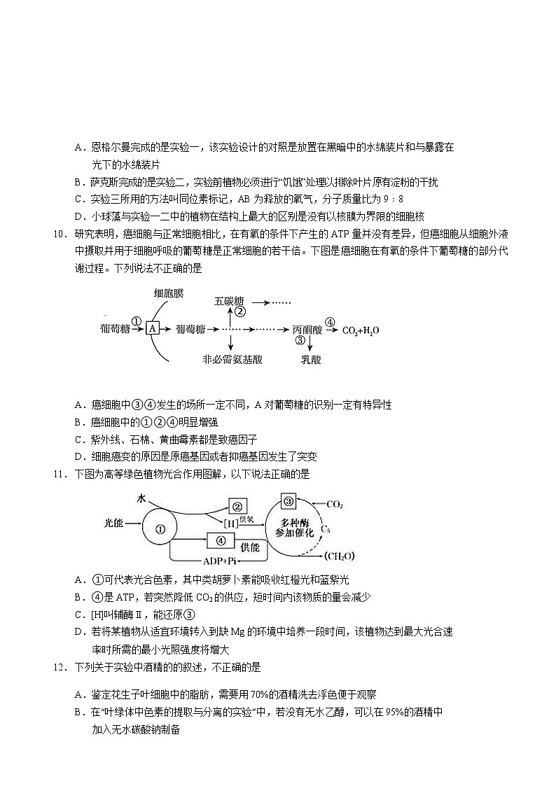2021届重庆市北碚区西南大学附属中学高三上学期10月第二次月考生物试题含答案第3页