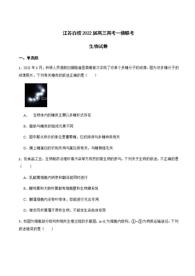 2022届江苏百校高三生物高考一模联考试卷含解析01