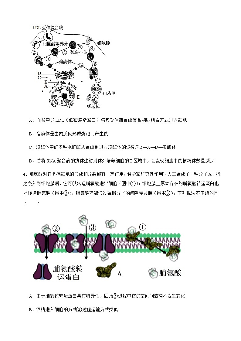 2022届江苏百校高三生物高考一模联考试卷含解析02