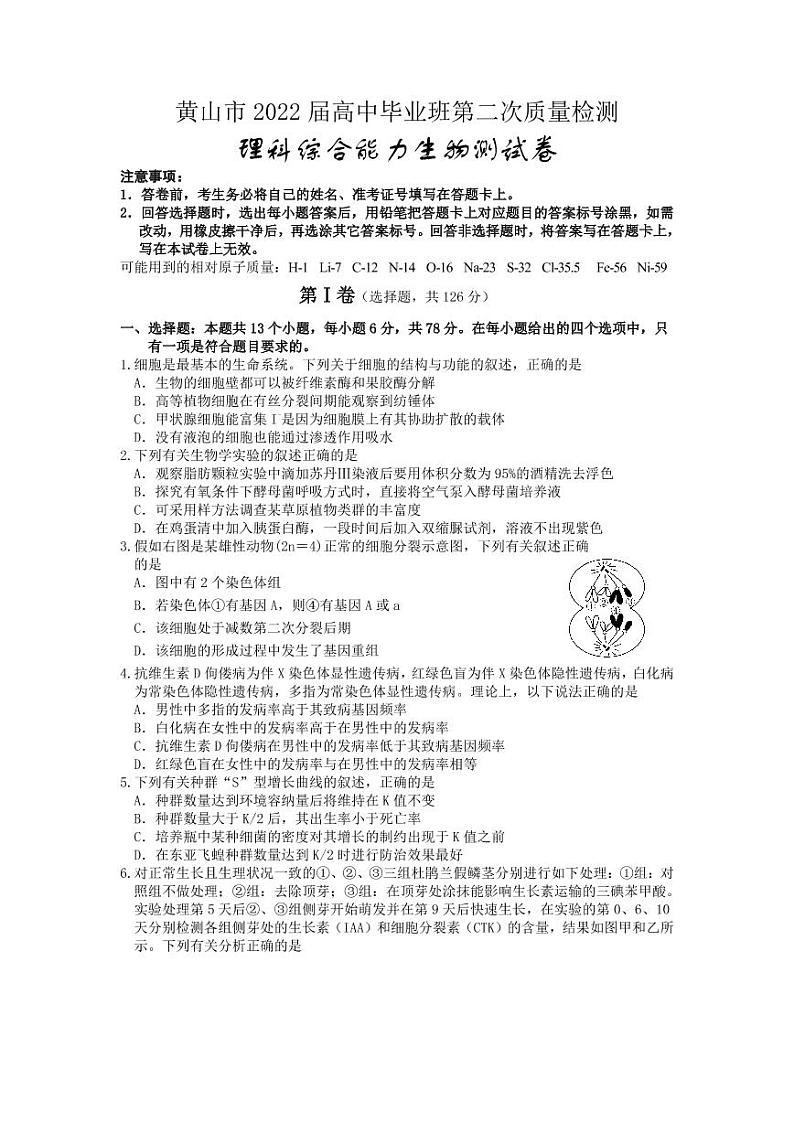黄山市2022届高中毕业班高三第二次质量检测（二模）生物试题含答案01