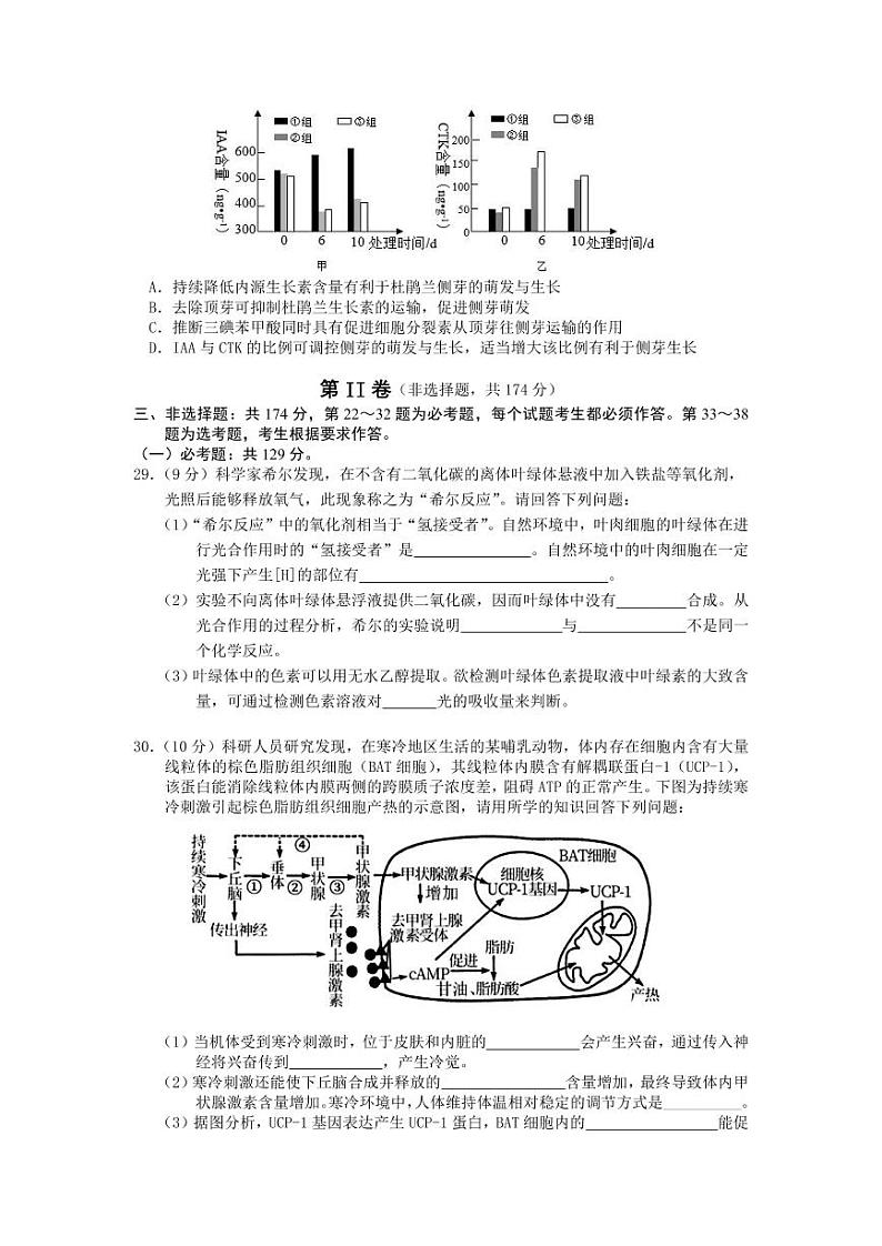 黄山市2022届高中毕业班高三第二次质量检测（二模）生物试题含答案02