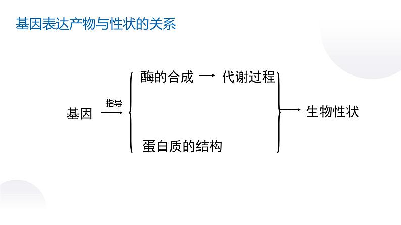 4.2 基因表达与性状的关系课件PPT06