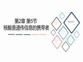 2.5 核酸是遗传信息的携带者课件PPT