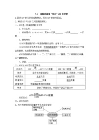 2020-2021学年第2节 细胞的能量“货币”ATP学案