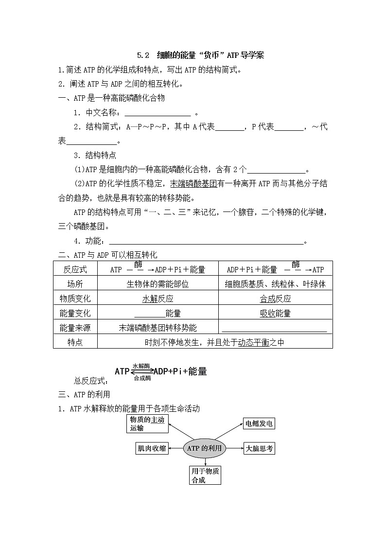 5.2 细胞的能量“货币”ATP导学案01