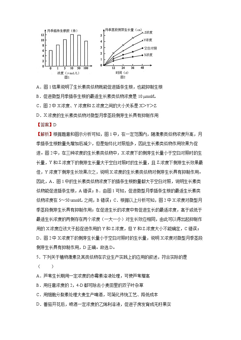 2022年高考生物二轮复习 专题八 植物生命活动的调节 教师版第3页