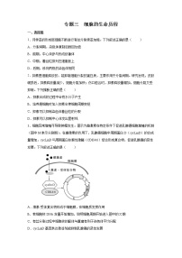 2022年高考生物二轮复习 专题三 细胞的生命历程 学生版