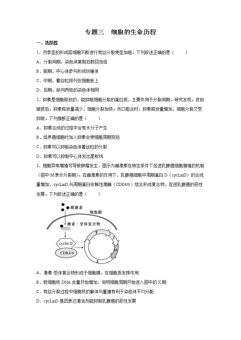 2022年高考生物二轮复习 专题三 细胞的生命历程 学生版01