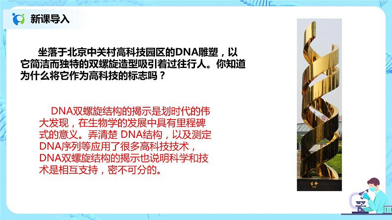 3.2《DNA的结构》课件PPT第2页