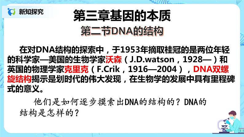 3.2《DNA的结构》课件PPT第3页