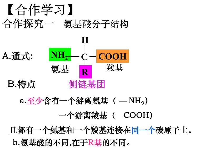 《第5节 核酸是遗传信息的携带者》课件2第1页